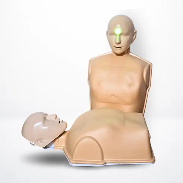 simuladores rcp
