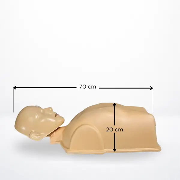 Torso de entrenamiento RCP NexoAdult Basic con dimensiones anatómicas reales adulto